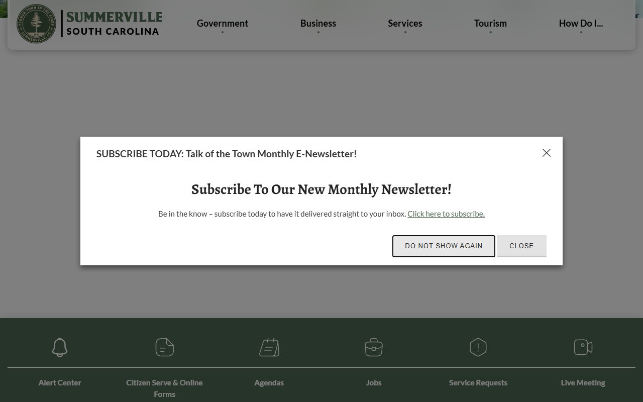 Summerville DUI Records Town of Summerville police department official